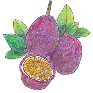 パッションフルーツ