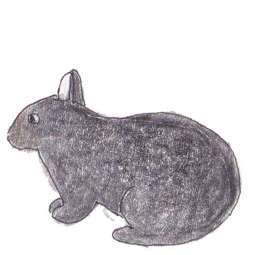 アマミノクロウサギ