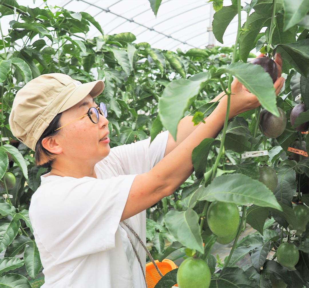 シホさん（農場長）画像