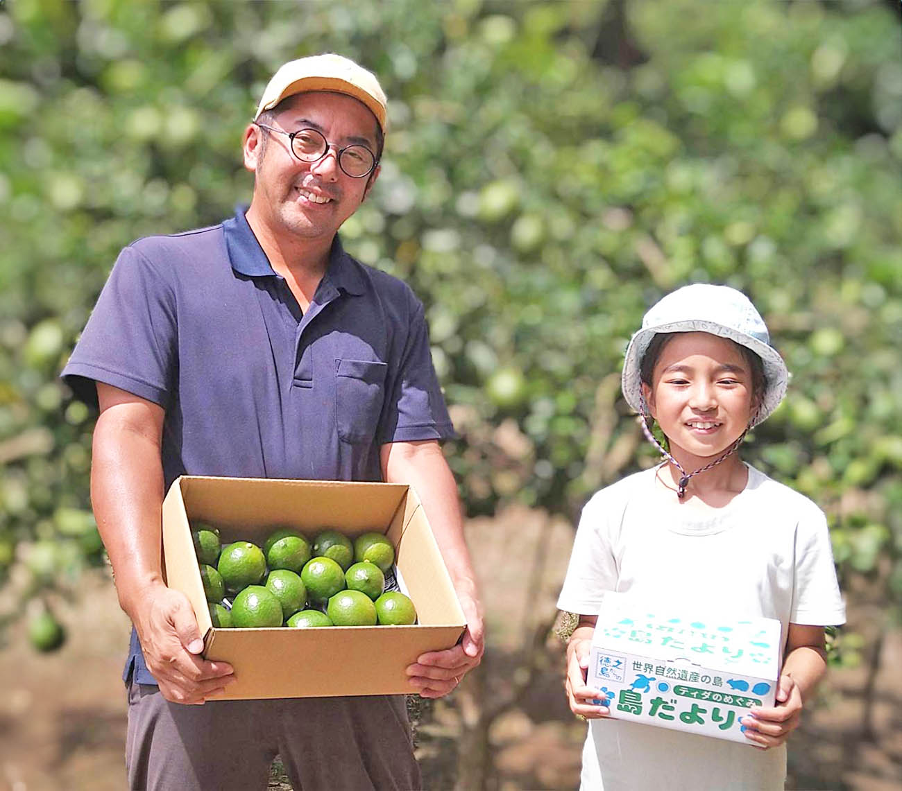 マイヤーレモン画像